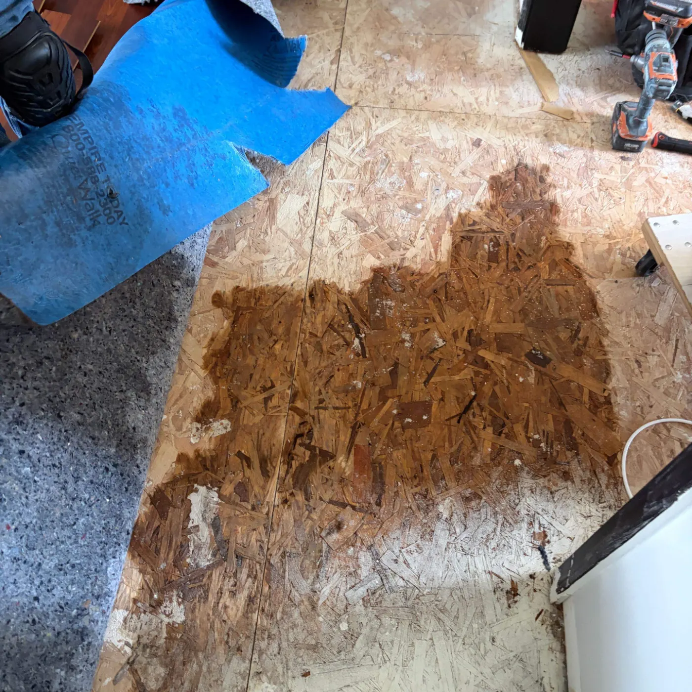 Moisture meter reading on drywall in North Willow Farms water loss