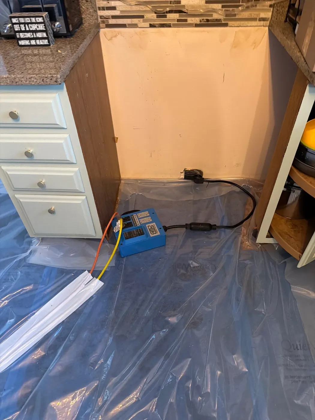Thermal imaging during water damage assessment in North Willow Farms residence