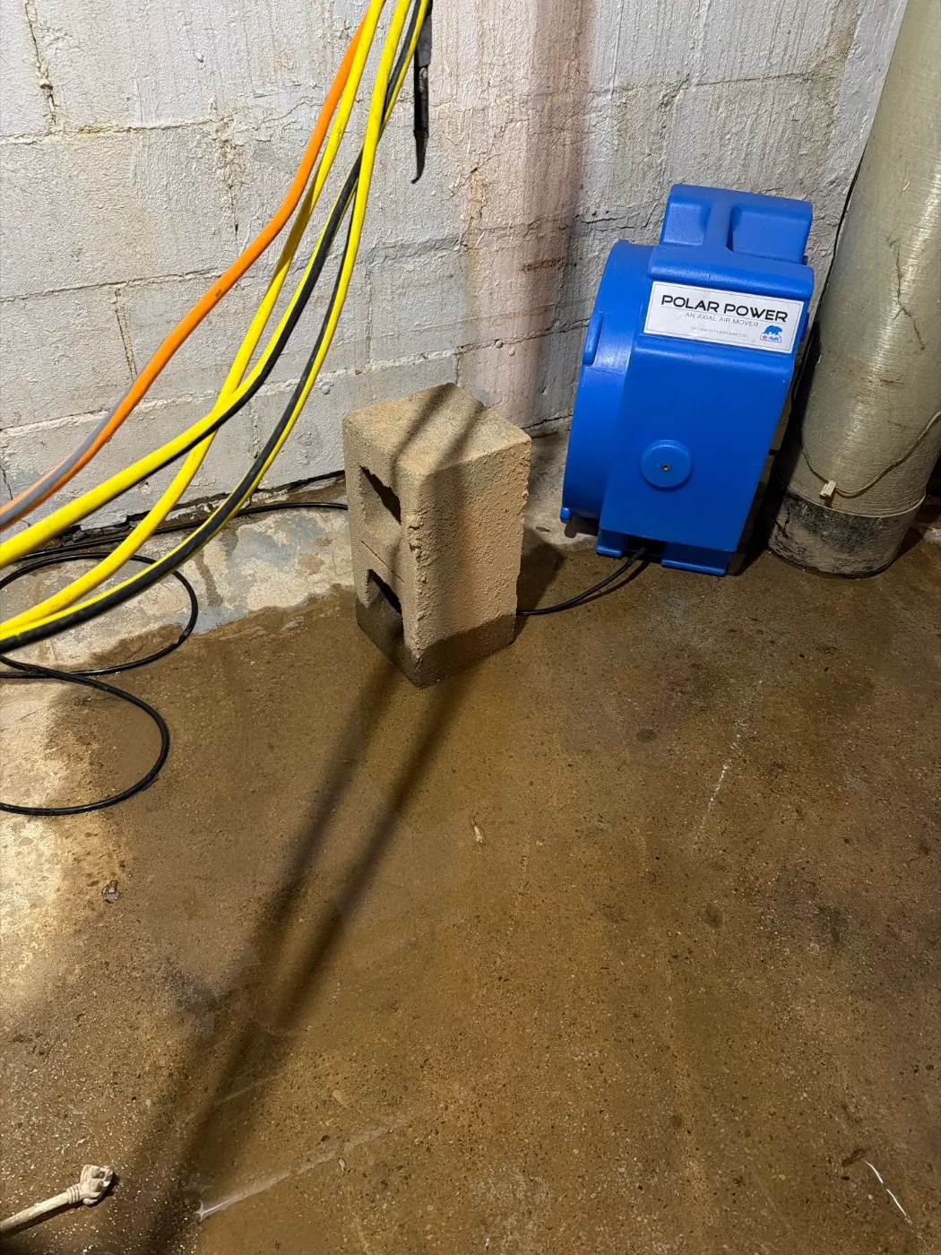 Basement water extraction in North Willow Farms Indiana home